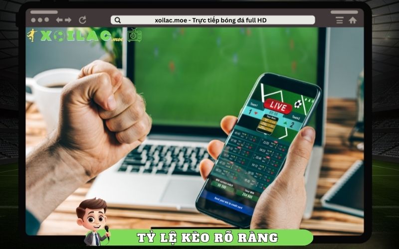 Hiển thị rõ ràng – dễ đọc và dễ phân tích