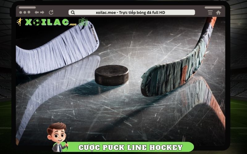 Cược Puck Line Hockey Là Gì? Kèo Này Có Nên Chơi?